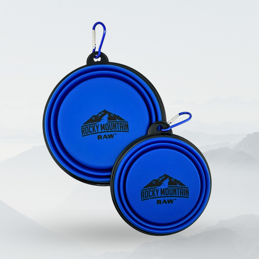 BLUE Foldable Dog Bowl