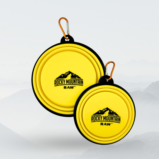 YELLOW Foldable Dog Bowl