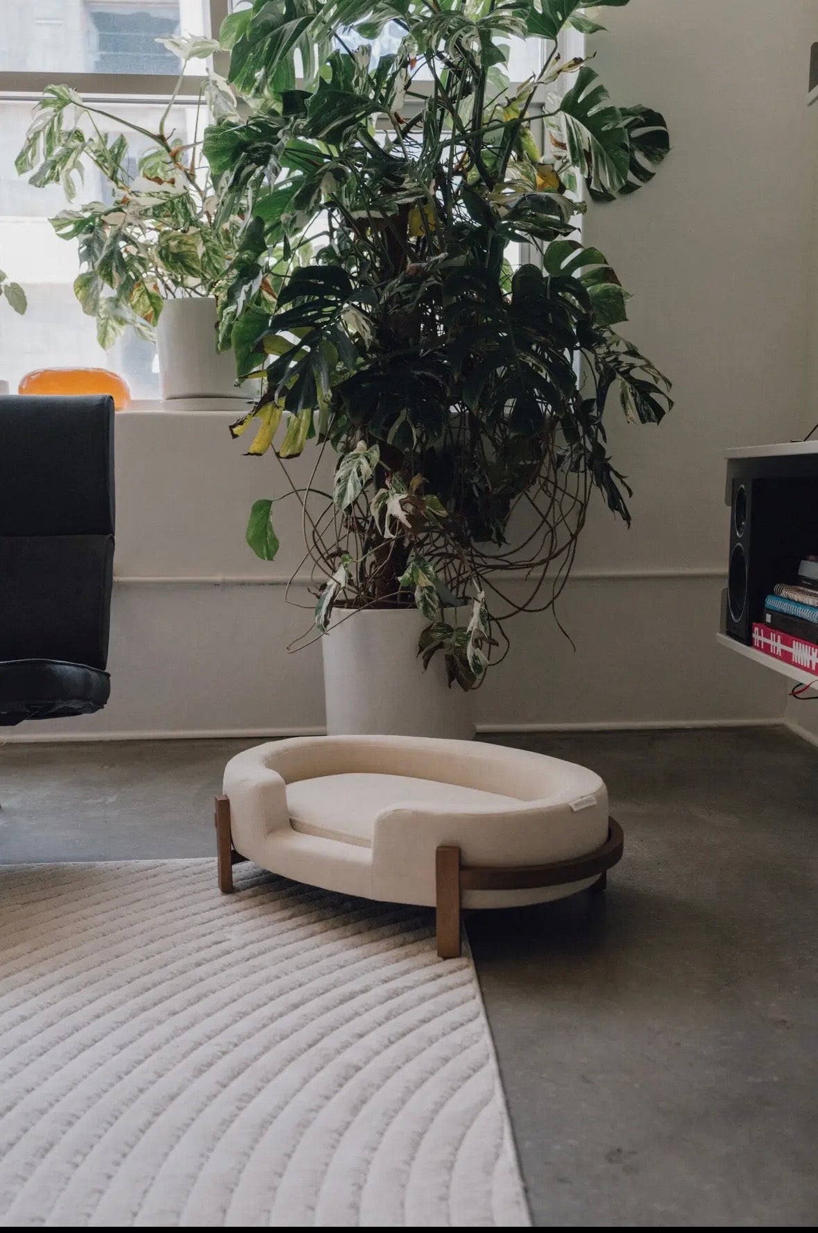 Whiskerhaus Premium Modern Luxury Cat and Dog Bed